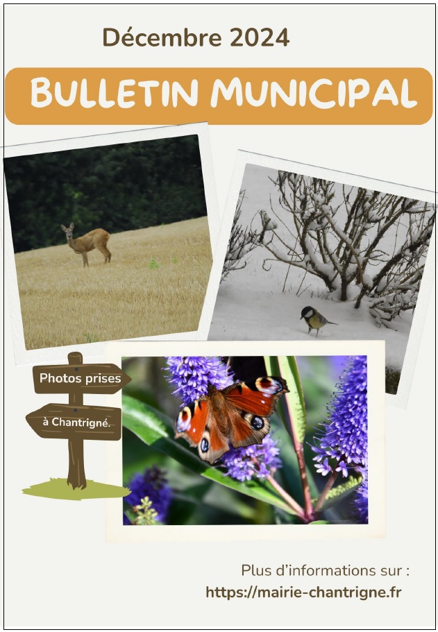 bulletin municipal