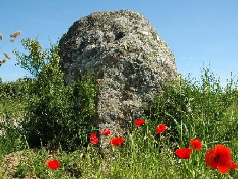 Menhir du Grand Coudray